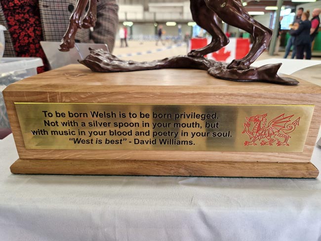 Dave williams statue